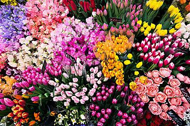 《最终幻想14：晓月之终焉》新图 女角头上丝带好漂亮